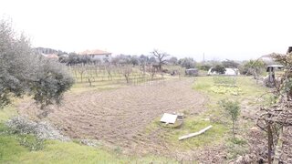 Terreno de 4691 m² em Viseu