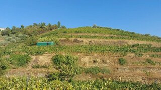Land for sale in Alijó, Portugal — €159,000