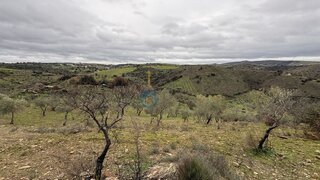 Terreno em Alfândega da Fé