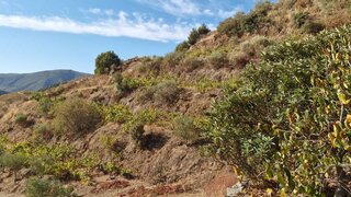 Terreno em Carrazeda de Ansiães