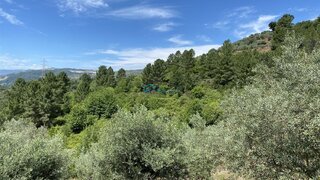 Terreno de 12 902 m² em Vila Real