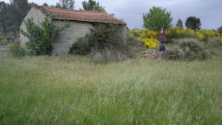 Land for sale in Mirandela, Portugal — €17,000