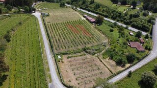 Land for sale in Arcos de Valdevez, Portugal — €197,500