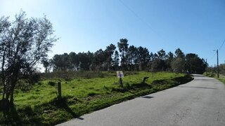 Land for sale in Nelas, Portugal — €50,000