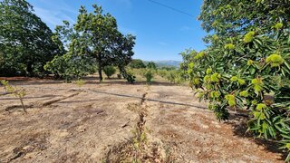 Land for sale in Armamar, Portugal — €140,000