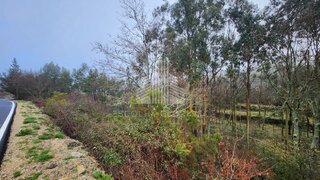Terreno em Oliveira de Frades