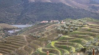 Land for sale in Carrazeda de Ansiães, Portugal — €30,000