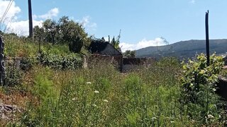 Land for sale in Caminha, Portugal — €80,000