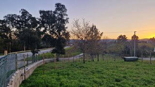 Land for sale in Mortágua, Portugal — €40,000