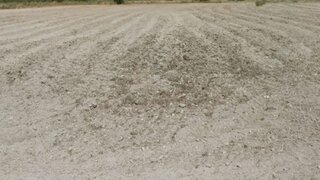 Land for sale in Almeida, Portugal — €30,000