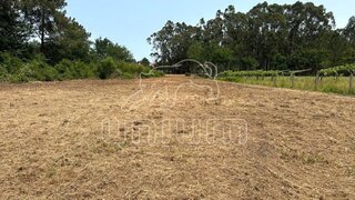 Terreno de 5865 m² em Viana do Castelo