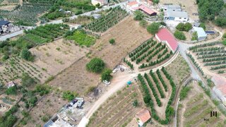 Land for sale in Armamar, Portugal — €99,000