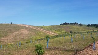 Terreno para venda em Mogadouro, Portugal — 650 000 €