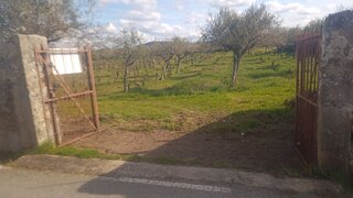 Land for sale in Figueira de Castelo Rodrigo, Portugal — €130,000
