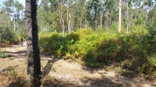 Land for sale in Valença, Portugal — €55,000