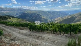 Land for sale in Tabuaço, Portugal — €150,000