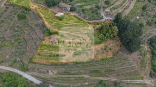 Terreno de 4558 m² em Vila Real