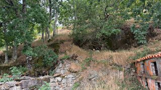 Land for sale in Tondela, Portugal — €7,500