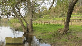 Land for sale in Arcos de Valdevez, Portugal — €40,000