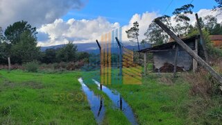 Land for sale in Oliveira de Frades, Portugal — €40,000