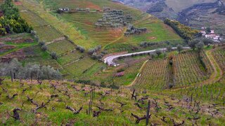 Land for sale in Santa Marta de Penaguião, Portugal — €122,300
