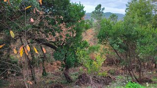 Terreno de 1460 m² em Viseu