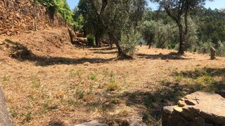Terreno para venda em Cinfães, Portugal — 44 000 €