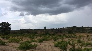 Terreno em Mêda