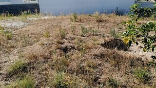 Terreno de 300 m² em Viseu