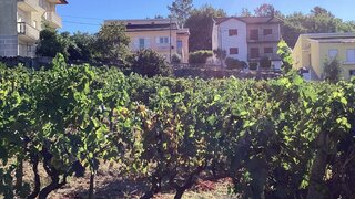 Land for sale in Penalva do Castelo, Portugal — €35,000