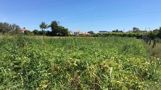 Land for sale in Viana do Castelo, Portugal — €60,000