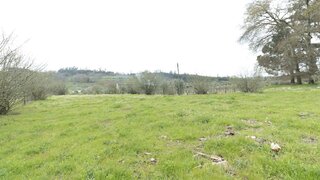 Terreno de 4486 m² em Viseu