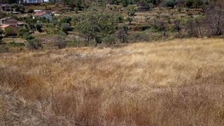 Terreno em Mangualde