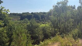 Terreno para venda em Vouzela, Portugal — 50 000 €