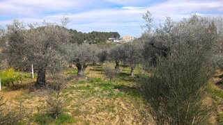 Land for sale in Valpaços, Portugal — €15,000