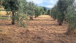 Land for sale in Seia, Portugal — €7,500
