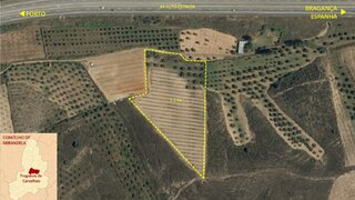 Land for sale in Mirandela, Portugal — €28,800