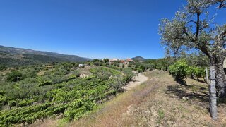Land for sale in Moimenta da Beira, Portugal — €177,500