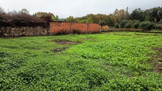 Land for sale in Mortágua, Portugal — €59,000