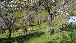 Terreno de 4500 m² em Cinfães