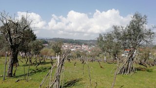 Land for sale in Tondela, Portugal — €149,500