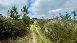 Land for sale in Nelas, Portugal — €55,000