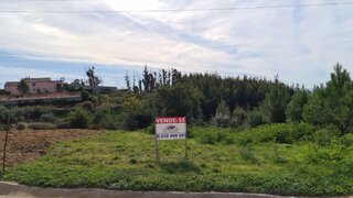 Land for sale in Santa Comba Dão, Portugal — €27,000