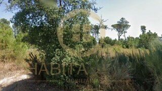Land for sale in Nelas, Portugal — €40,000