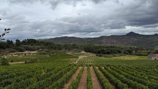 Land for sale in Alijó, Portugal — €580,000