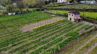 Land for sale in Ponte da Barca, Portugal — €45,000