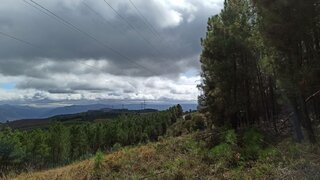 Terreno de 55 800 m² em Vila Real