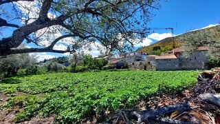 Terreno de 600 m² em Chaves