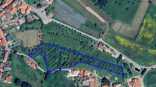 Terreno para venda em Mangualde, Portugal — 220 000 €