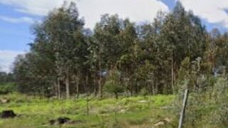 Land for sale in Santa Comba Dão, Portugal — €9,500